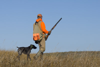 Tips on Planning a Pheasant Hunt